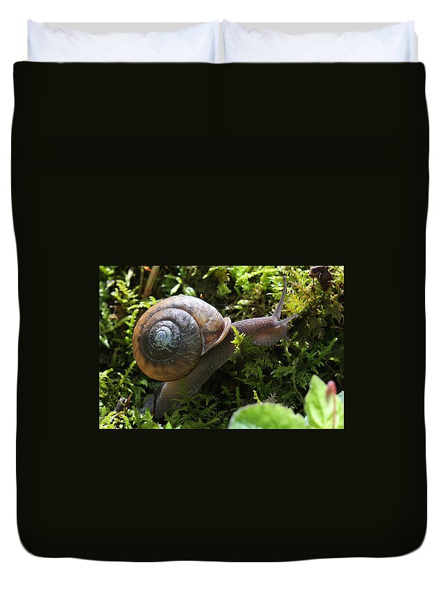Snail In Moss Duvet Cover featuring the photograph Snail In Moss by Daniel Reed
