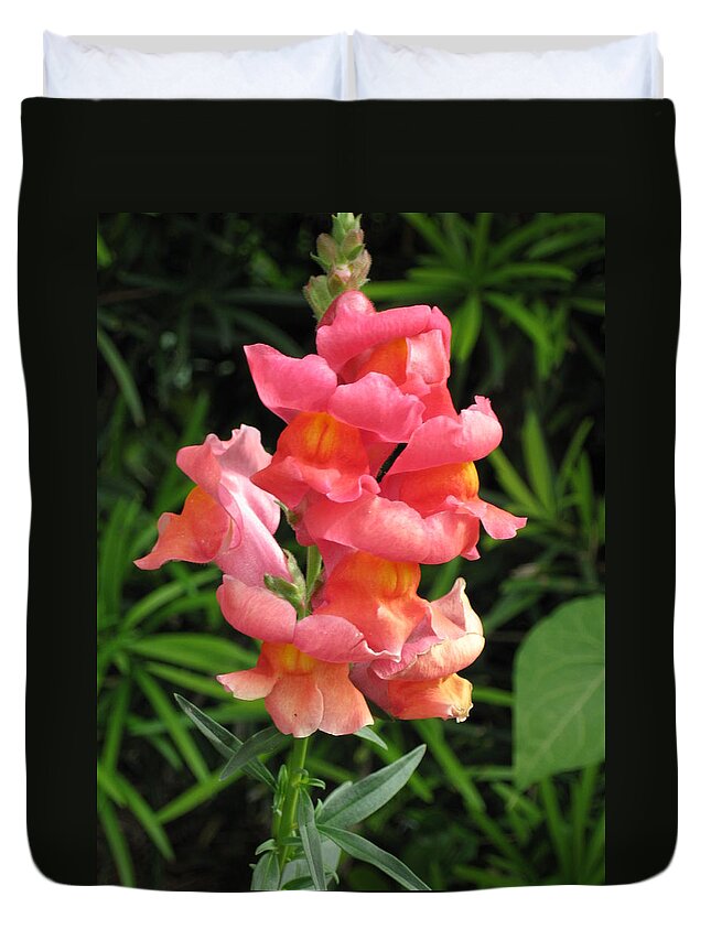 Cute Duvet Cover featuring the photograph Snapdragon by Ron Monsour