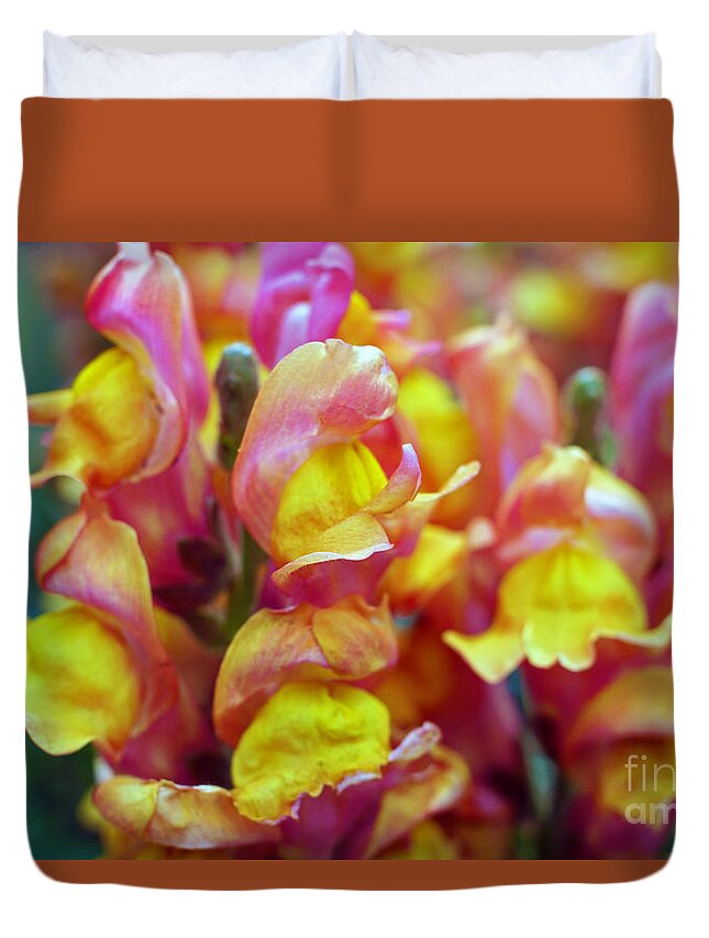 Snapdragon Duvet Cover featuring the photograph Snapdragons by Cassandra Buckley