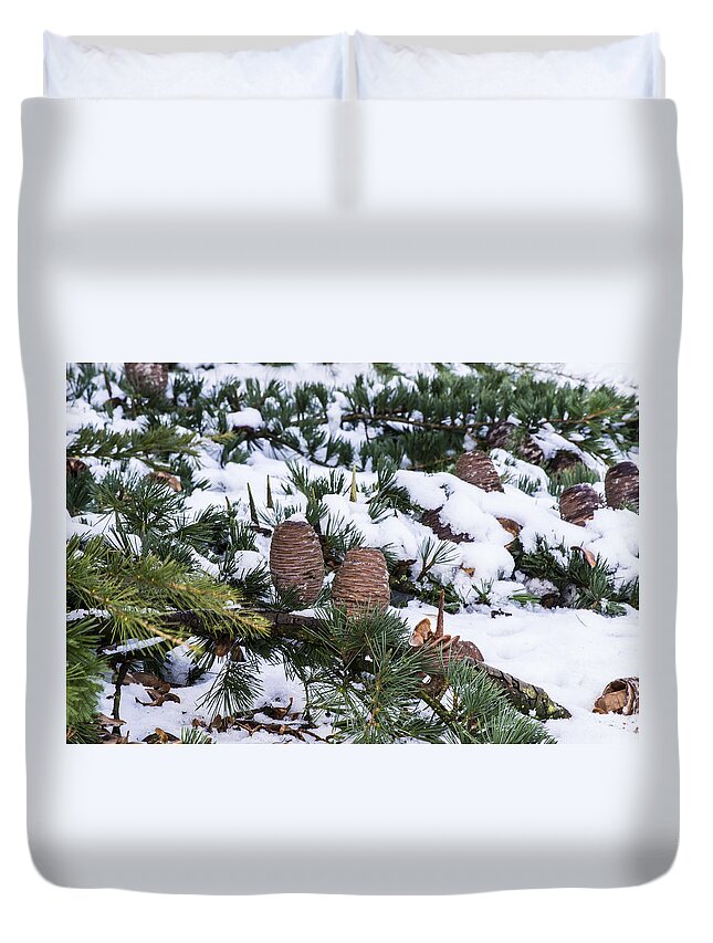 Snow Duvet Cover featuring the photograph Snow Cones by Spikey Mouse Photography