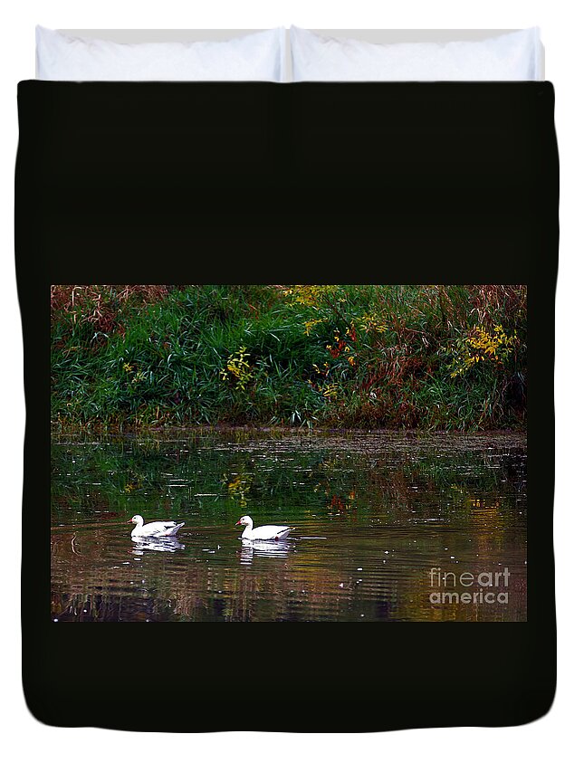 Pair Of Snowgeese Duvet Cover featuring the photograph Snow Geese Swim by Elizabeth Winter