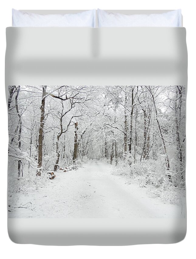 Snow In The Park Duvet Cover featuring the photograph Snow in the Park by Raymond Salani III