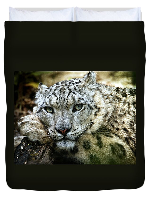 Animal Duvet Cover featuring the photograph Snow Leopard by Chris Boulton