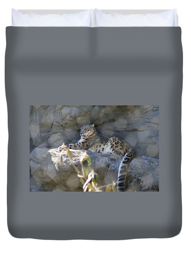 Leopard Duvet Cover featuring the photograph Snow Leopard  No.2 by Neal Eslinger