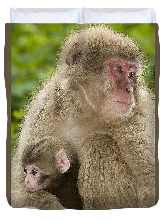 Asia Duvet Cover featuring the photograph Snow Monkeys, Mother With Her Baby by John Shaw