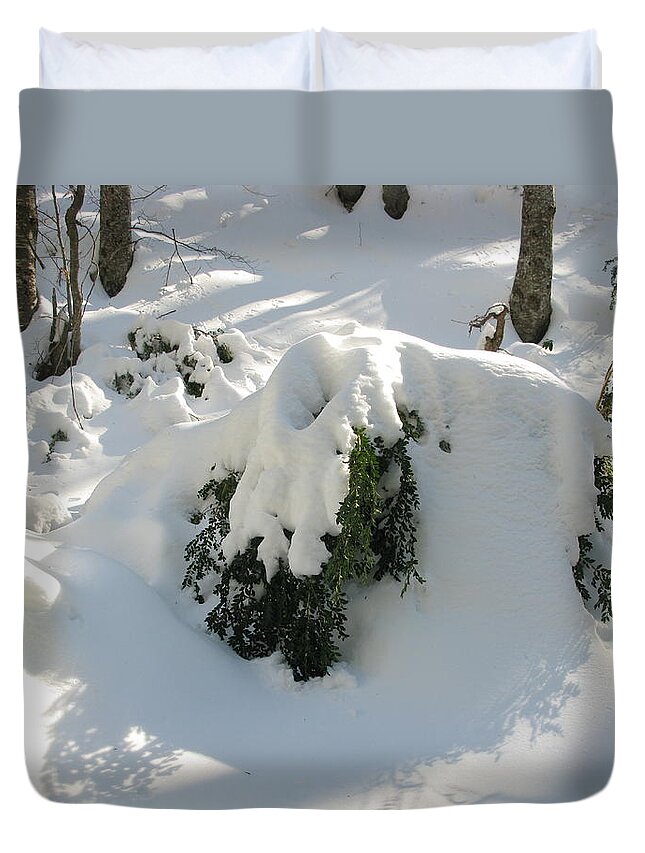 Snow Duvet Cover featuring the photograph Snow in woods by Andonis Katanos