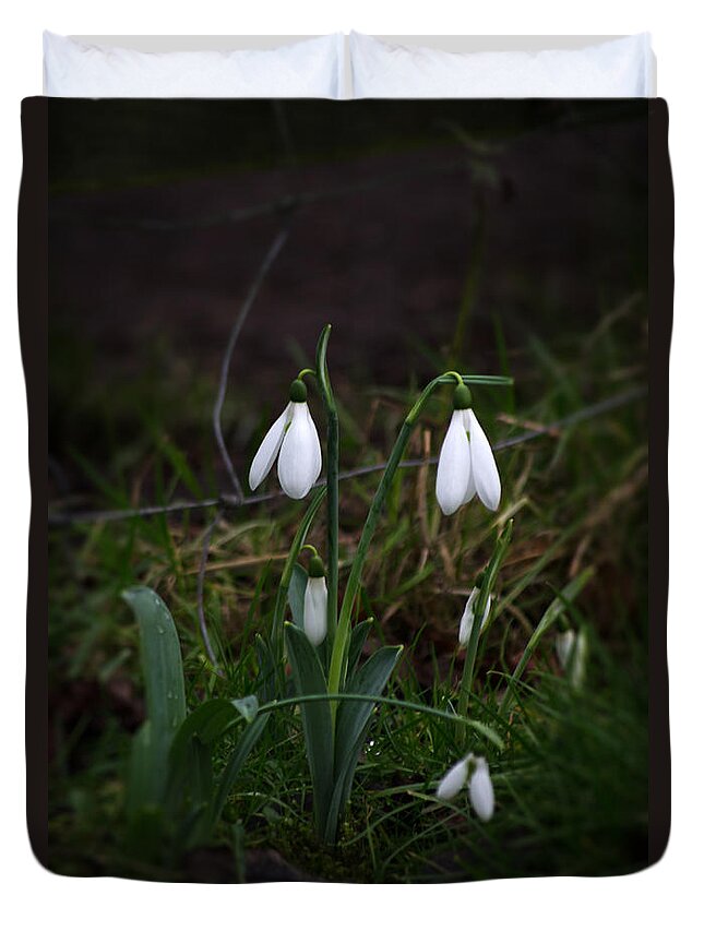 Nature Duvet Cover featuring the photograph Snowdrops by Spikey Mouse Photography