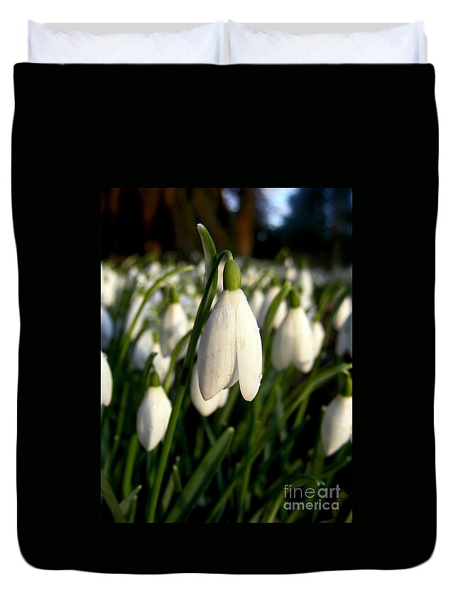 Snowdrops Duvet Cover featuring the photograph Snowdrops by Nina Ficur Feenan