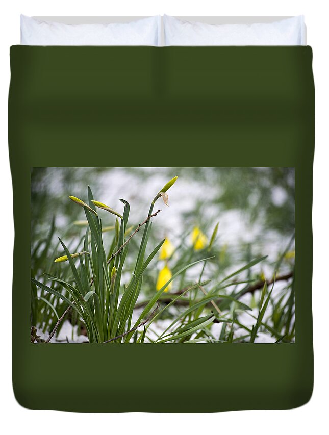 Daffodils Duvet Cover featuring the photograph Snowy Daffodils by Spikey Mouse Photography