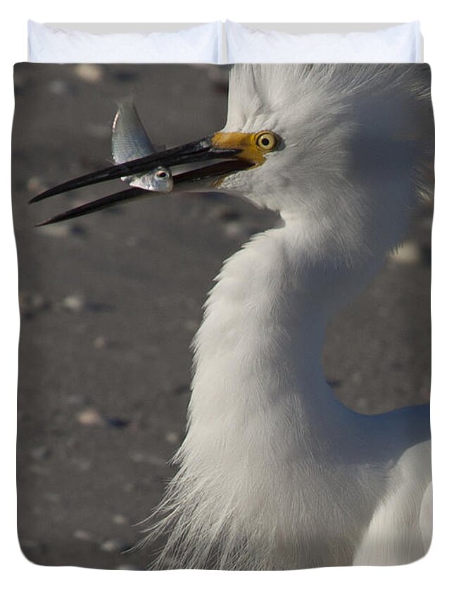 Snowy Egret Duvet Cover featuring the photograph Snowy Egret Fishing by Meg Rousher