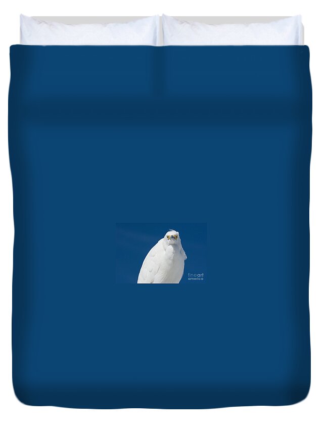  Egret Duvet Cover featuring the photograph Snowy Egret - Fort DeSoto Park No. 1 by John Greco