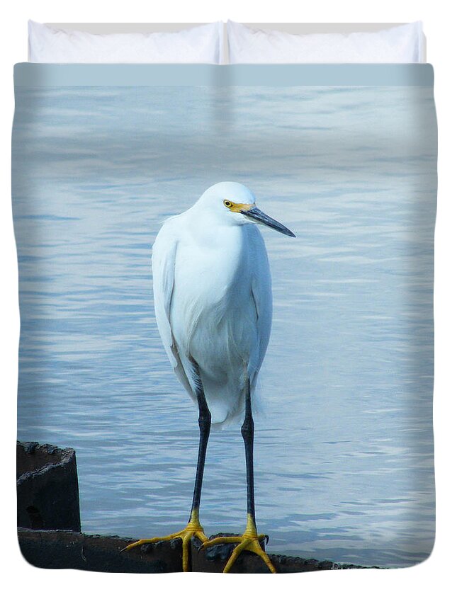 Bird Duvet Cover featuring the photograph Snowy Egret by Lizi Beard-Ward