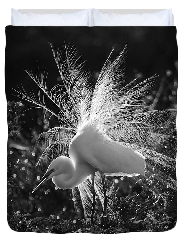 Snowy Egret Duvet Cover featuring the photograph Snowy Egret by Sandy Swanson