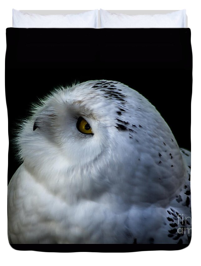 Snowy Owl Duvet Cover featuring the photograph Snowy Owl by David Rucker