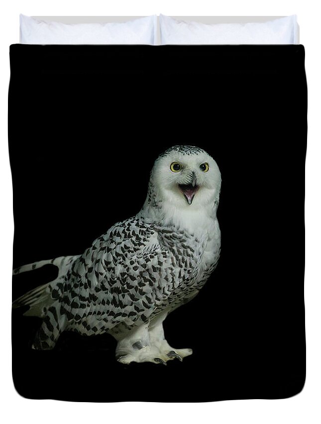 Animal Themes Duvet Cover featuring the photograph Snowy Owl by Manoj Shah