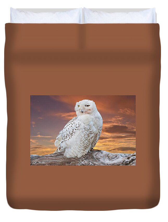 Animal Duvet Cover featuring the photograph Snowy Owl Perched at Sunset by Jeff Goulden