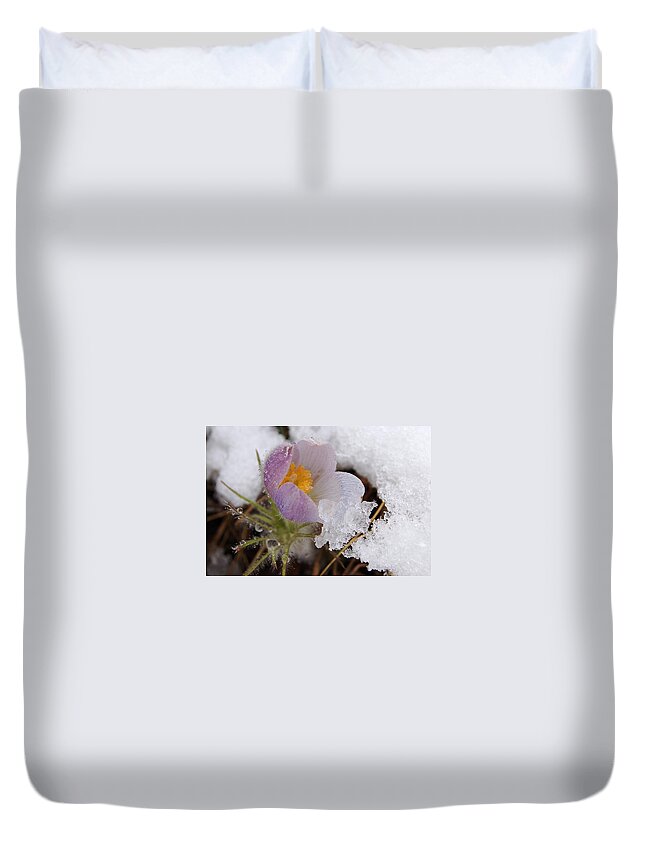 Dakota Duvet Cover featuring the photograph Snowy Pasqueflower by Greni Graph
