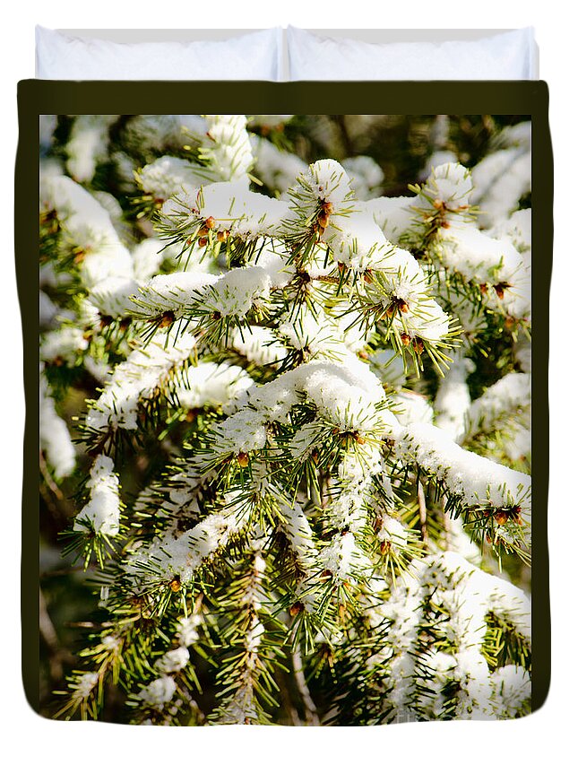 White Duvet Cover featuring the photograph Snowy Pines by Donna Greene