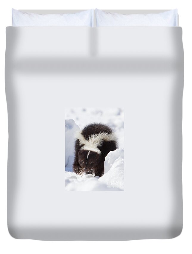 Skunk Duvet Cover featuring the photograph Snowy Walk by Jan Killian