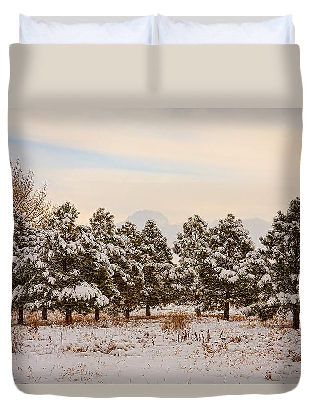 Snow Duvet Cover featuring the photograph Snowy Winter Pine Trees by James BO Insogna