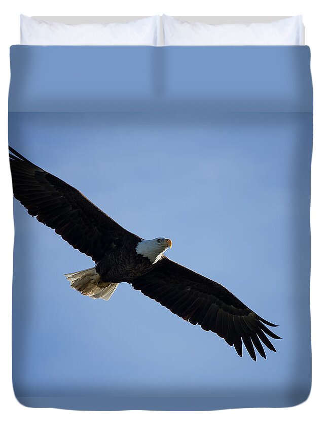 Eagle Duvet Cover featuring the photograph Soaring by Kim Hojnacki