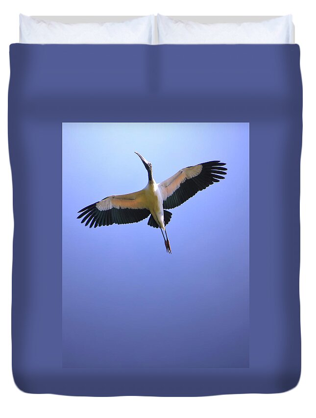Animal Themes Duvet Cover featuring the photograph Soaring Stork by Daniela Duncan