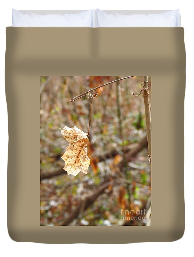 Leaf Duvet Cover featuring the photograph Solitary Leaf by Anita Adams