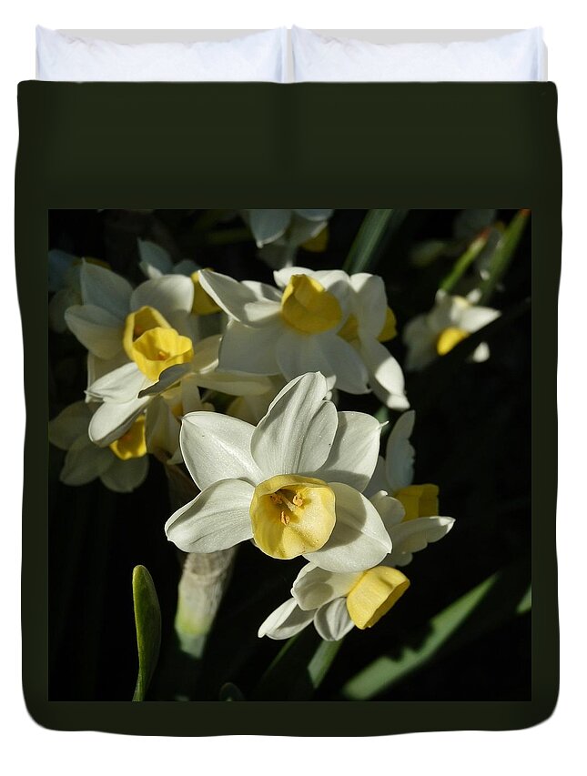 Daffodil Duvet Cover featuring the photograph Solophilia by VLee Watson