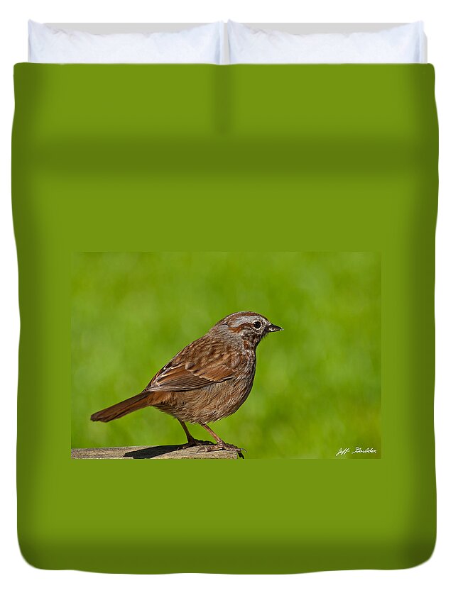 Animal Duvet Cover featuring the photograph Song Sparrow on a Log by Jeff Goulden