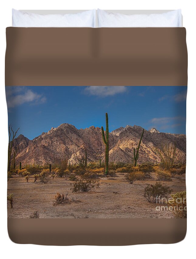 Arizona Duvet Cover featuring the photograph Sonoran by Robert Bales