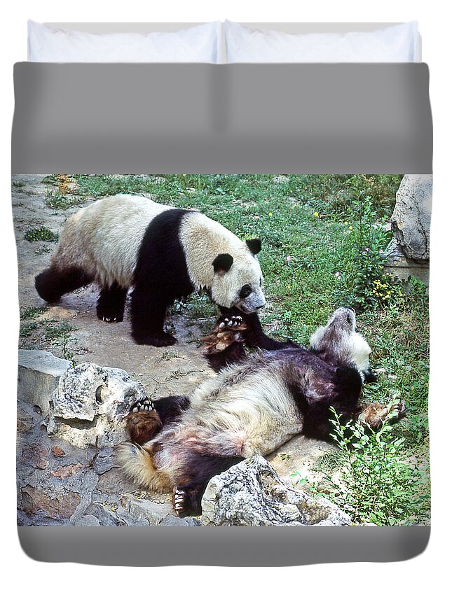 Panda Duvet Cover featuring the photograph Sorry I Scared You by Ginny Barklow