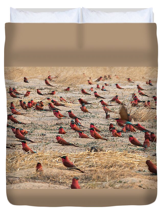 Grass Duvet Cover featuring the photograph Southern Carmine Bee-eater by Franz Aberham