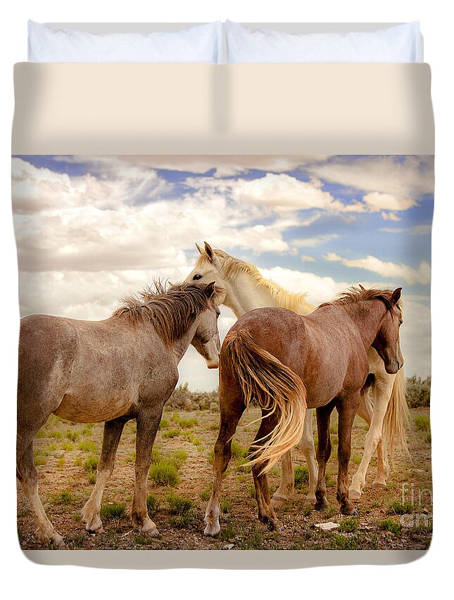 Southwest Wild Horses With White Stallion On Navajo Indian Reservation In New Mexico Duvet Cover featuring the photograph Wild Horses With White Stallion On Navajo Indian Reservation by Jerry Cowart