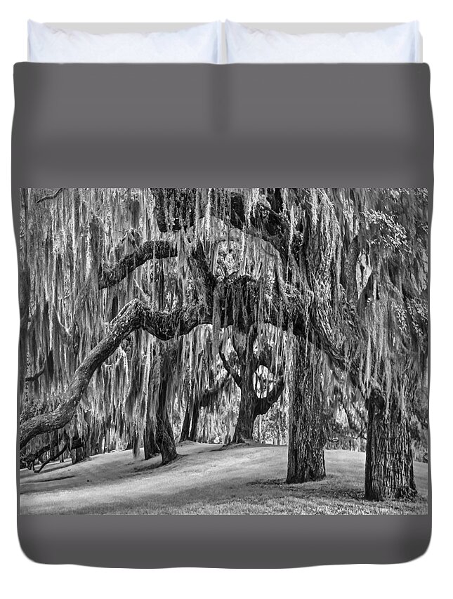 Clouds Duvet Cover featuring the photograph Spanish Moss in Black and White by Debra and Dave Vanderlaan