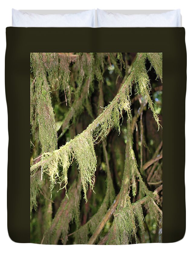Spanish Moss Duvet Cover featuring the photograph Spanish Moss In Olympic National Park by Connie Fox