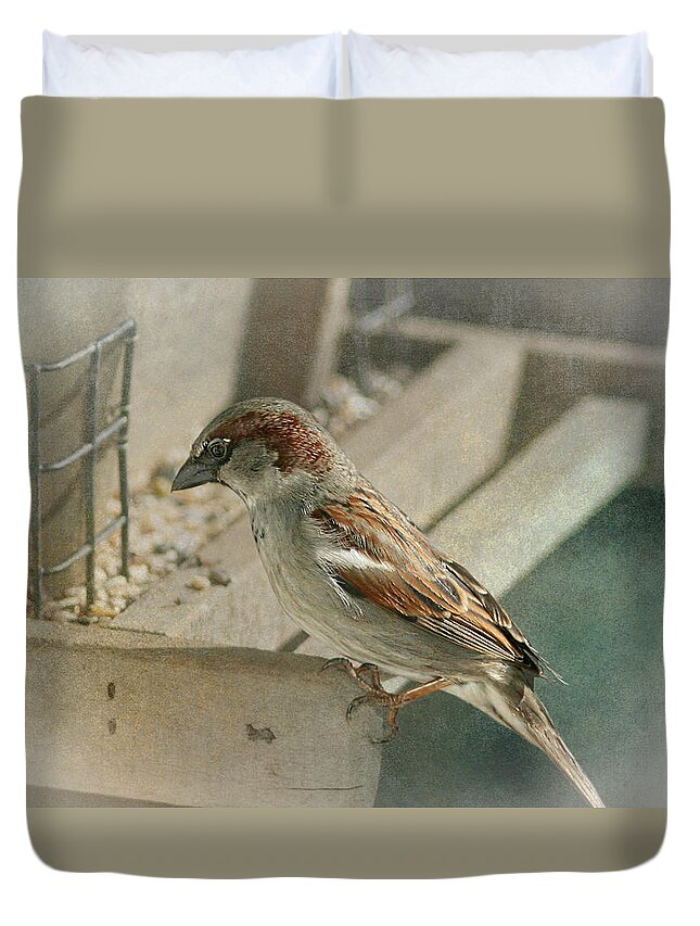 Sparrow Duvet Cover featuring the photograph Sparrow 1 by Susan McMenamin