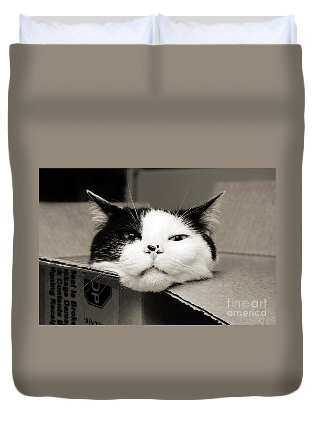 Andee Design Cat Duvet Cover featuring the photograph Special Delivery It's Pepper The Cat by Andee Design