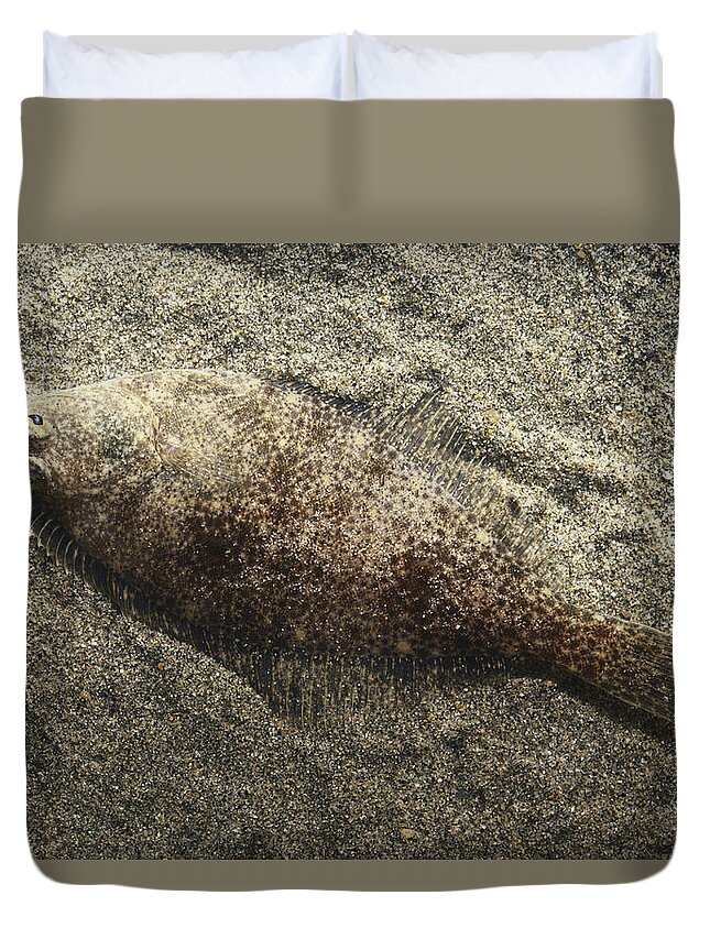 Speckled Sanddab Duvet Cover featuring the photograph Speckled Sanddab by Tom McHugh