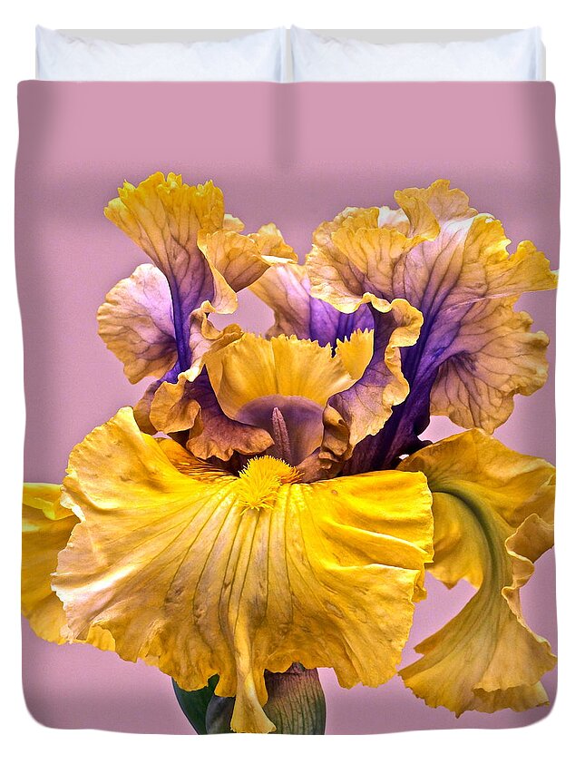 Iris Macro Duvet Cover featuring the photograph Spectacular Iris Close Up by Byron Varvarigos