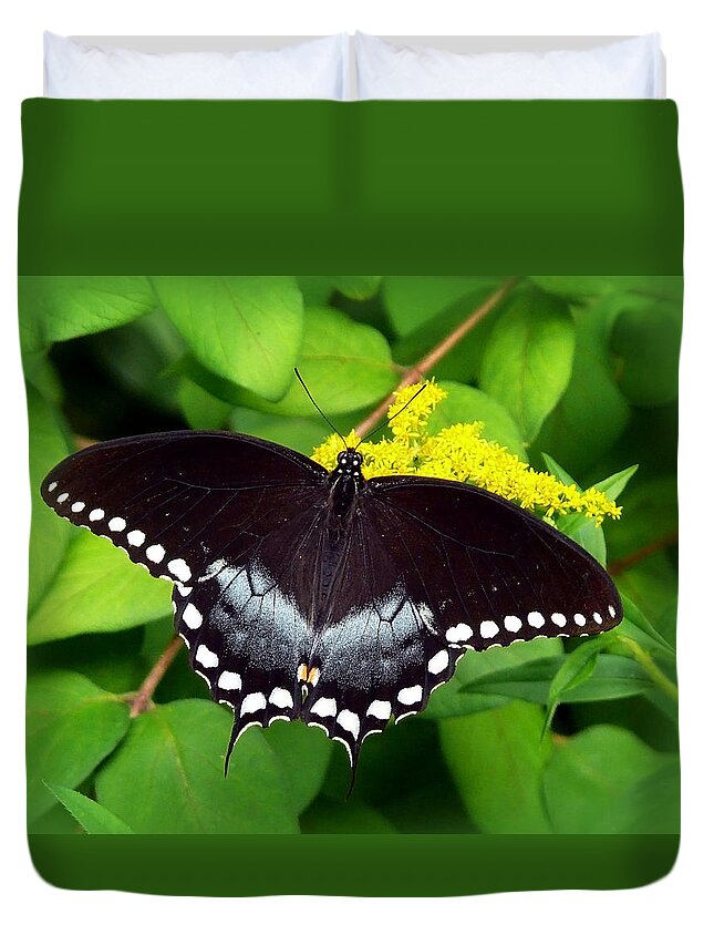 Butterflies Duvet Cover featuring the photograph Spicebush Butterfly by Christina Rollo