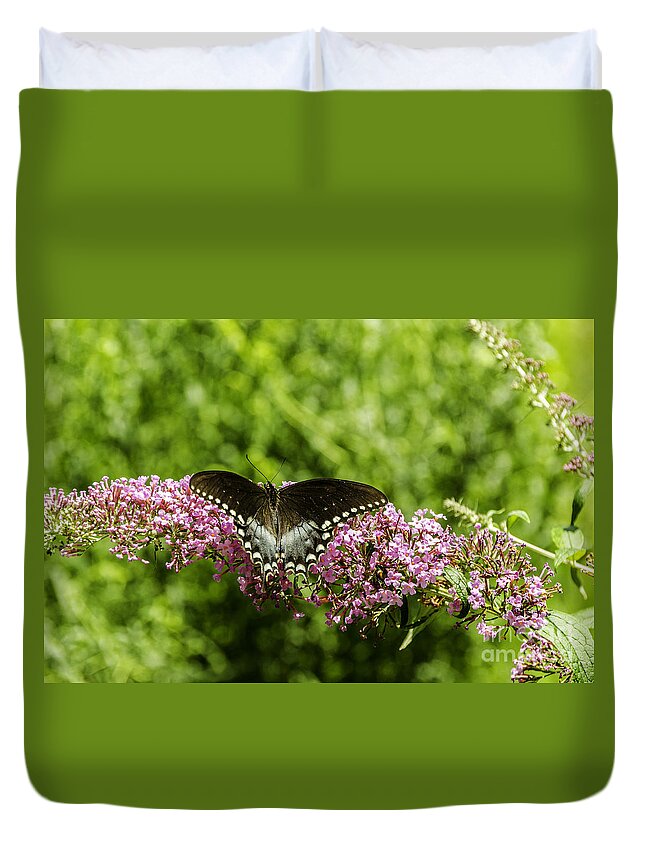 Antenna Duvet Cover featuring the photograph Spicebush Swallowtail by Mary Carol Story