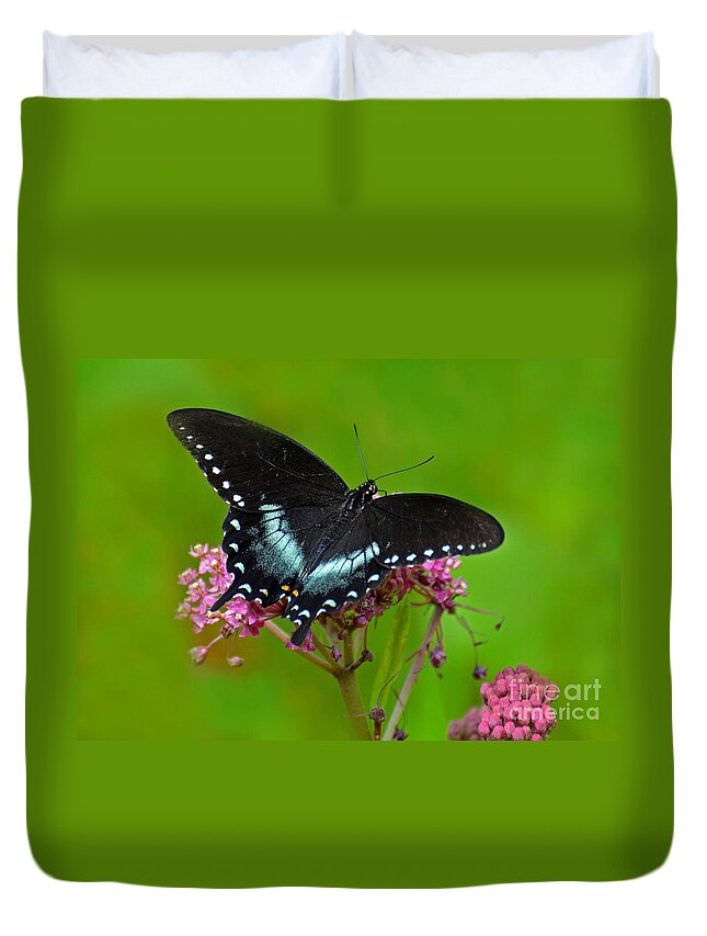 Butterfly Duvet Cover featuring the photograph Spicebush Swallowtail by Rodney Campbell