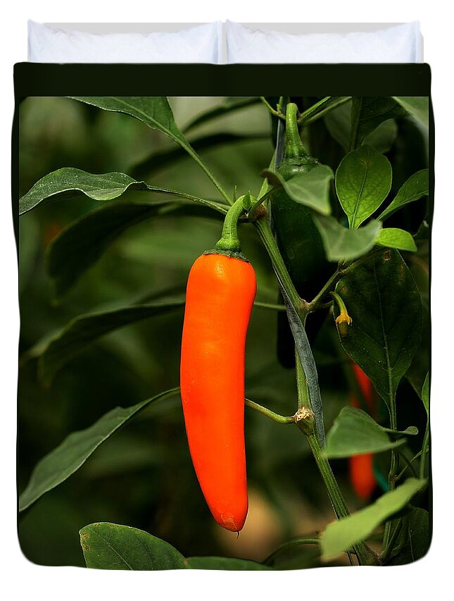 Red Chili Duvet Cover featuring the photograph Spicy Delight by Ramabhadran Thirupattur