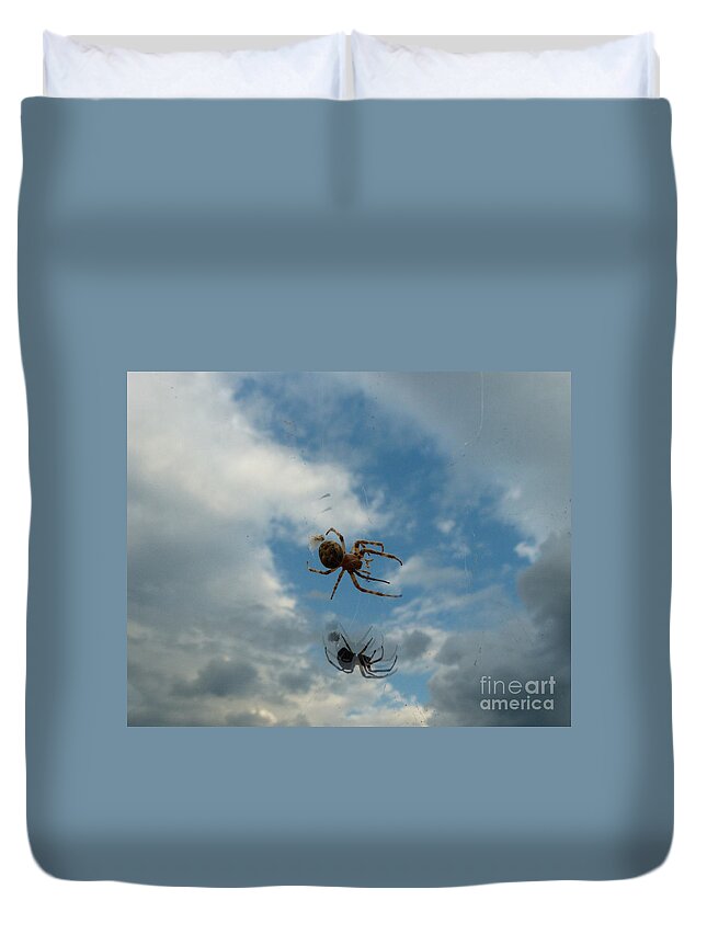 Spider On Window Duvet Cover featuring the photograph Spider by Jane Ford