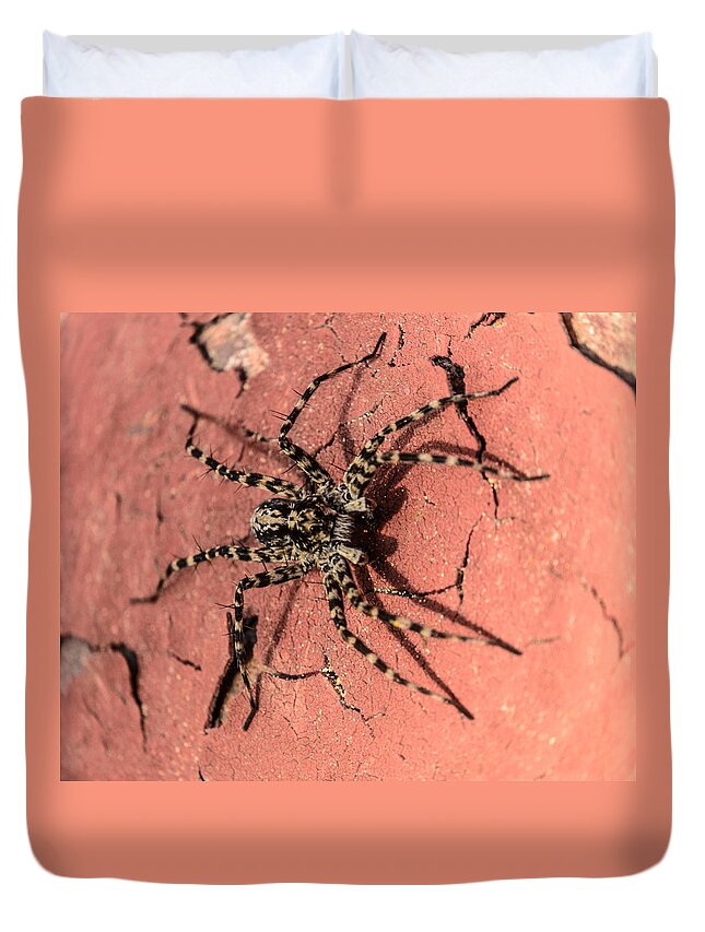 Brown Duvet Cover featuring the photograph Spider by Michael Goyberg