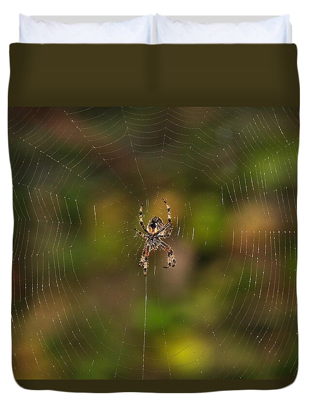 Garden Duvet Cover featuring the photograph Spider Web by Beth Sargent