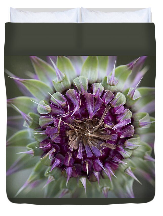 Feb0514 Duvet Cover featuring the photograph Spiny Plumeless Thistle Argentina by Matthias Breiter