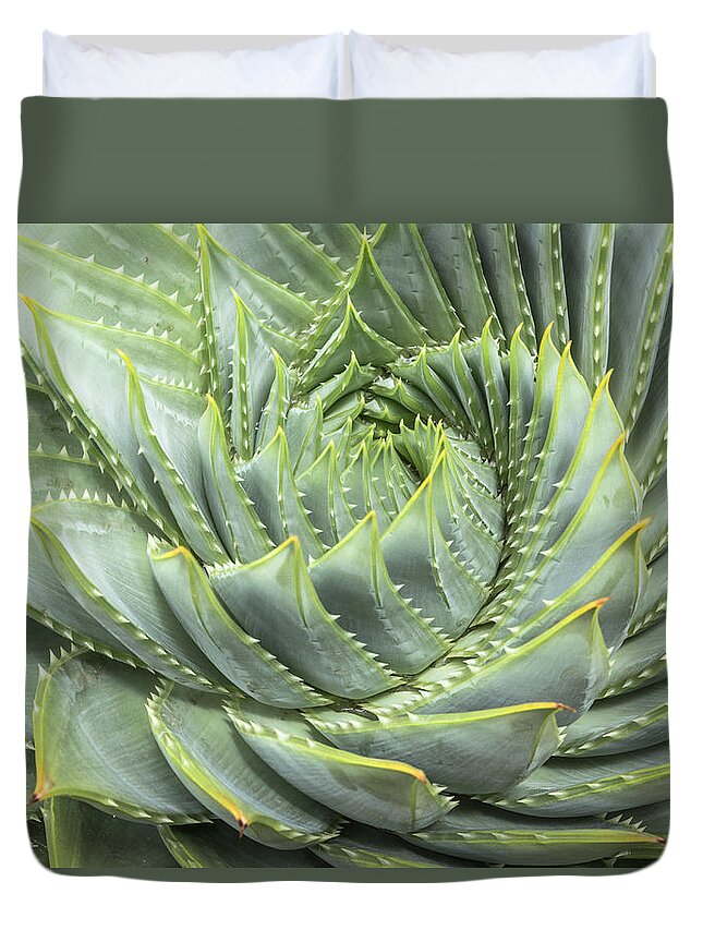 Natural Pattern Duvet Cover featuring the photograph Spiral Aloe Aloe Polyphylla by David Madison