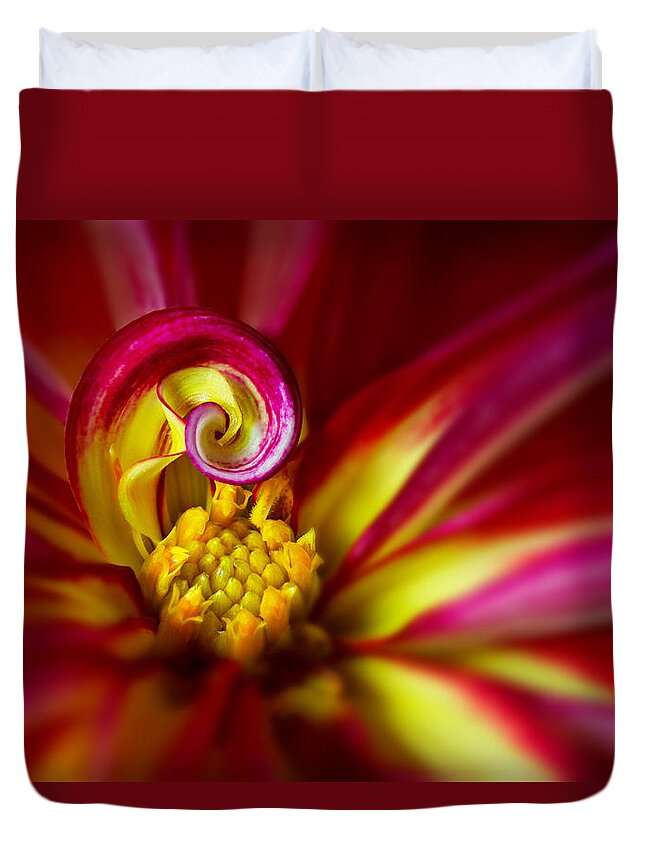 Background Duvet Cover featuring the photograph Spiral by Mary Jo Allen