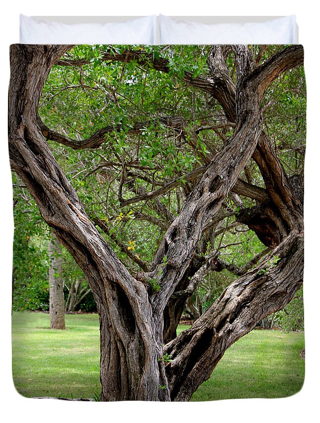 Tree Duvet Cover featuring the photograph Spooky Tree by Rosalie Scanlon